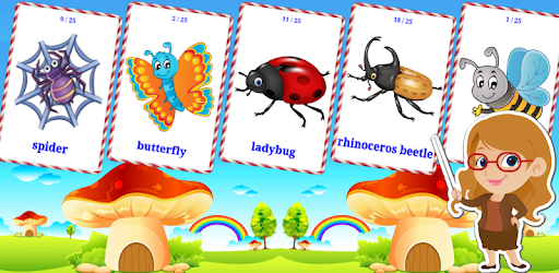 Insects Flashcards for Kids PC screenshot Insects Flashcards for Kids PC screenshot