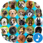 Appp.io - Dog Barking Sounds for PC Appp.io - Dog Barking Sounds for PC