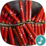 Appp.io - Firecracker Sounds for PC