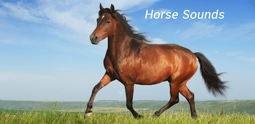 Appp.io - Horse Sounds PC screenshot