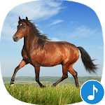 Appp.io - Horse Sounds for PC