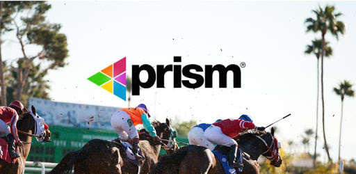 Prism Horse Racing Management PC screenshot