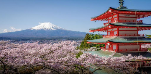 NHK Japanese - Easy Learner PC screenshot NHK Japanese - Easy Learner PC screenshot