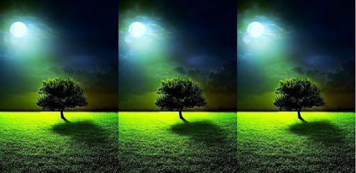 Moon & tree live wallpaper PC screenshot
