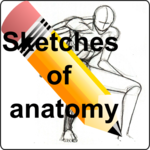 Sketches of anatomy for PC Sketches of anatomy for PC