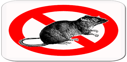 Anti Rat Pro PC screenshot Anti Rat Pro PC screenshot