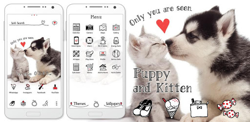Cute Theme Puppy and Kitten PC screenshot