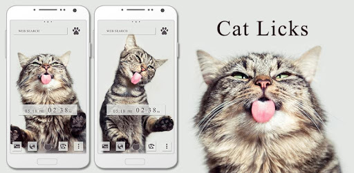 Cute Wallpaper Cat Licks Theme PC screenshot Cute Wallpaper Cat Licks Theme PC screenshot