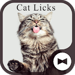Cute Wallpaper Cat Licks Theme icon