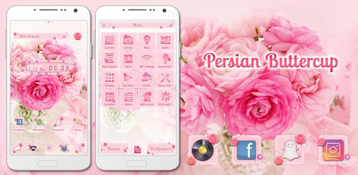 Pink Flower Wallpaper Persian Buttercup Theme PC screenshot
