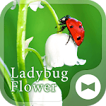 Flower Theme Ladybug Flower for PC