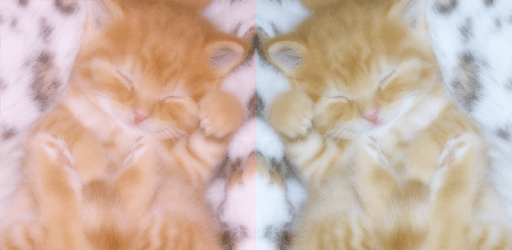 WataameCamera-Soft Photo Editor Like Cotton Candy PC screenshot