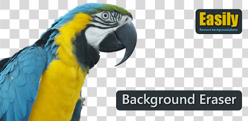 Photo Background Eraser - Background Changer PC screenshot Photo Background Eraser - Background Changer PC screenshot