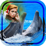 Dolphin Photo Frame for PC