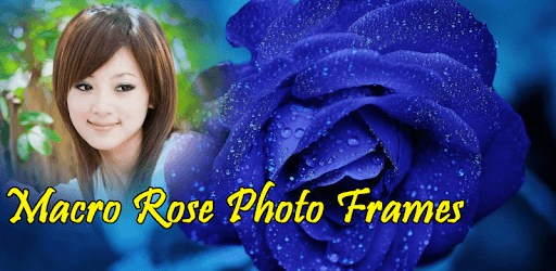 Macro Rose Photo Frame PC screenshot Macro Rose Photo Frame PC screenshot