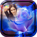 Macro Rose Photo Frame for PC Macro Rose Photo Frame for PC