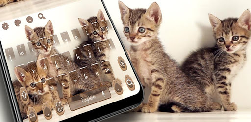 Cute Cat Keyboard PC screenshot Cute Cat Keyboard PC screenshot