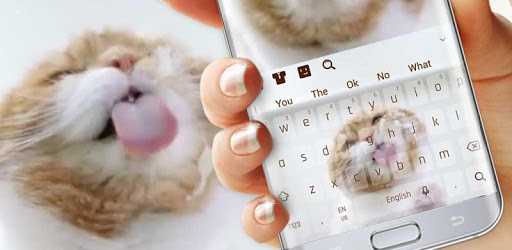 Cute Kitty Live Keyboard PC screenshot Cute Kitty Live Keyboard PC screenshot