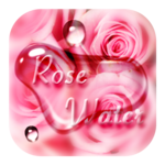 Pink Rose Flower Drops Theme for PC Pink Rose Flower Drops Theme for PC