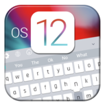 OS 12 Keyboard for PC