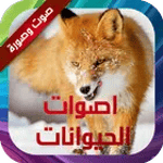 أصوات الحيوانات صوت وصورة for PC