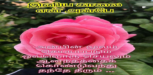 Good Morning Tamil Love Images PC screenshot