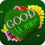 Love Good Morning Wishes icon