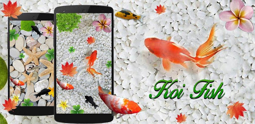 KOI Cool Fish Live Wallpaper PC screenshot