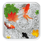 KOI Cool Fish Live Wallpaper for PC
