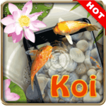 Koi pond 3D live wallpaper for PC