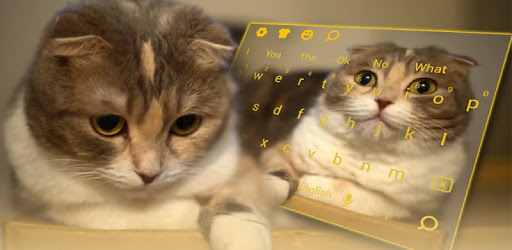 3D Live chubby Cute Kitty Keyboard PC screenshot 3D Live chubby Cute Kitty Keyboard PC screenshot