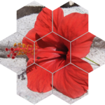 Vistalgy Flip Puzzles for PC