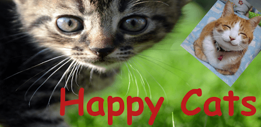Happy Cats GIF's PC screenshot