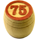 Russian Lotto - 90 Ball Bingo icon