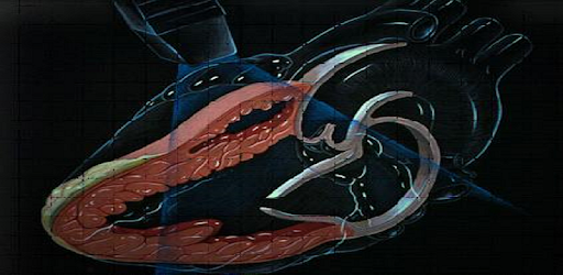 EchoCardio PC screenshot
