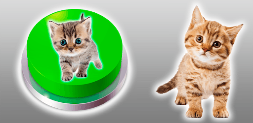 Kitten Cat Meow Button PC screenshot