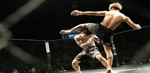 Mixed martial arts (mma). PC screenshot