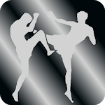 Mixed martial arts (mma). for PC