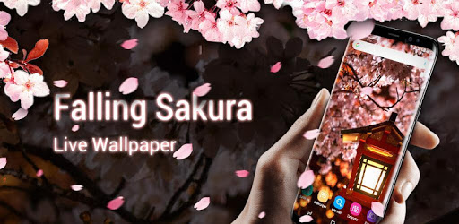 Sakura live wallpaper & moving background PC screenshot Sakura live wallpaper & moving background PC screenshot