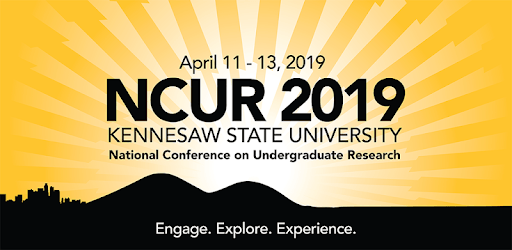 NCUR 2019 PC screenshot NCUR 2019 PC screenshot