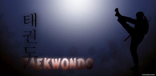 TAEKWONDO ONLINE CLASS PC screenshot