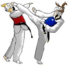 TAEKWONDO ONLINE CLASS for PC