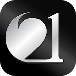 21 Connect icon