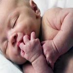 Pregnancy, childbirth, child development. for PC