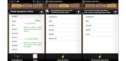 Conjugaison PC screenshot