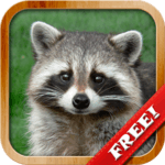 Animals for Kids, Planet Earth Animal Sounds icon