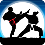 Karate Fighter : Real battles for PC
