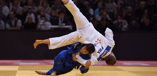 Judo Reference PC screenshot