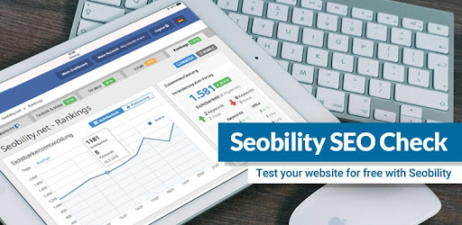 SEO Check PC screenshot