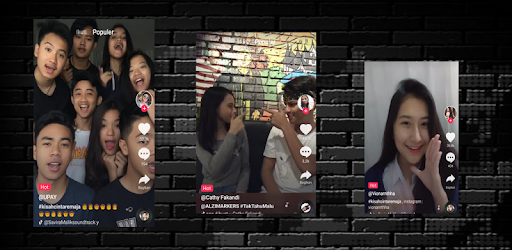 New Tik Tok Videos PC screenshot